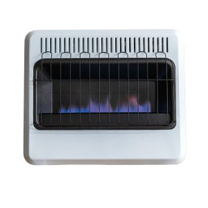 30.000 BTU Vent Free Blue Flame Dual Fuel Heater