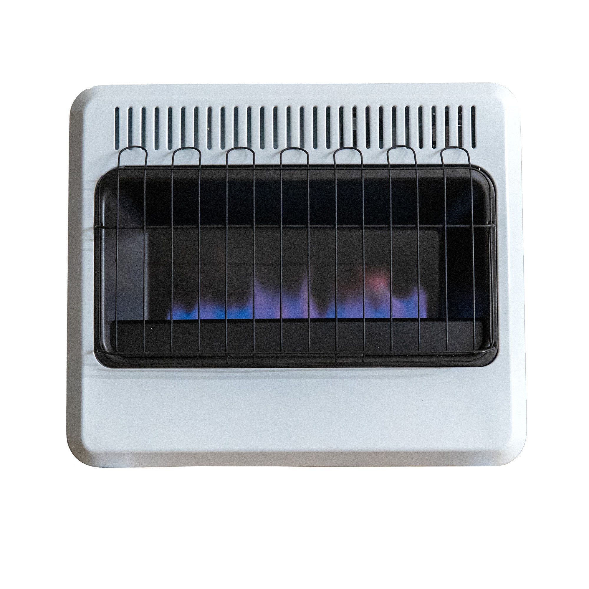 30.000 BTU Vent Free Blue Flame Dual Fuel Heater
